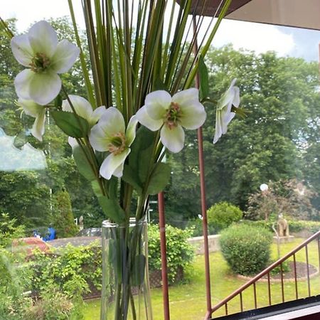 Ferienwohnung Nava Auf Der Kauzenburg Bad Kreuznach Dış mekan fotoğraf